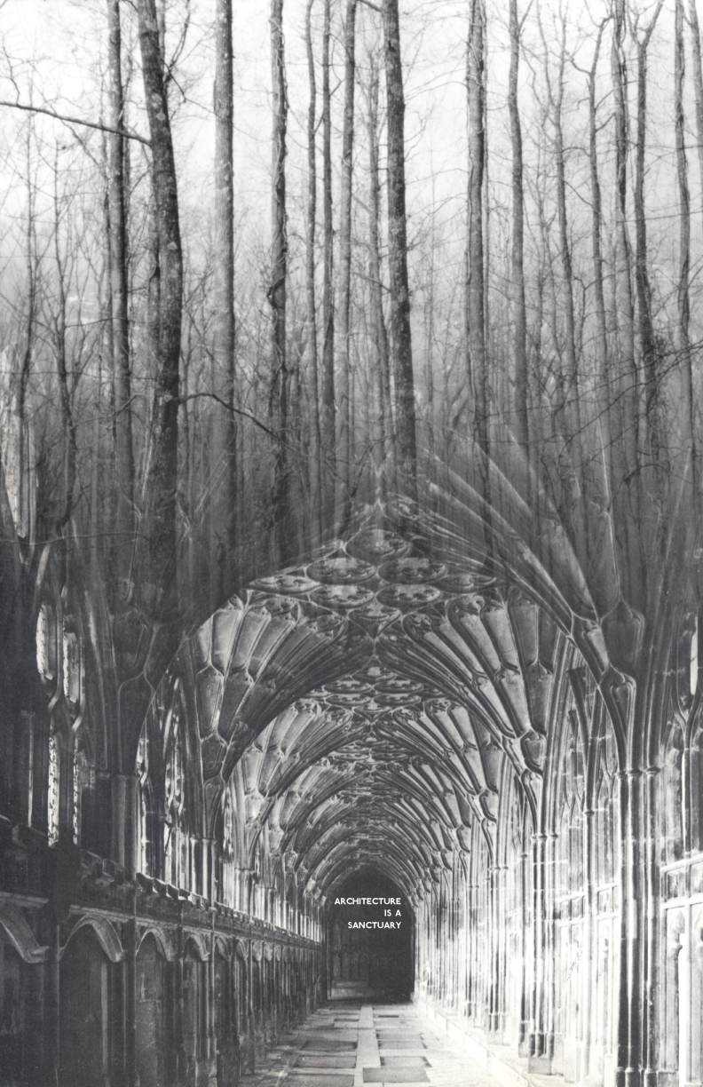 Black-and-white composite image merging a Gothic cathedral cloister with a leafless forest, creating a surreal architectural landscape.